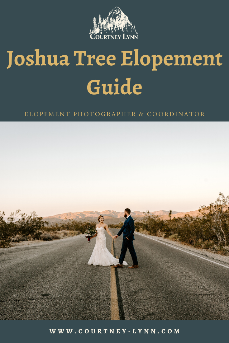 Joshua Tree Elopement Guide | Courtney Lynn