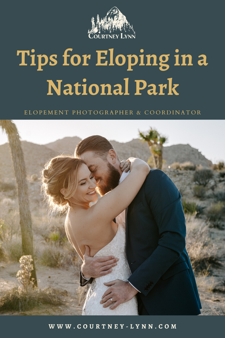How to Elope in a National Park | Courtney Lynn