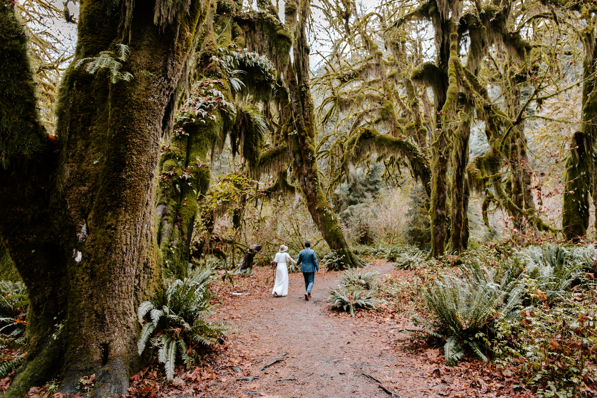 Olympic national park elopement in washington