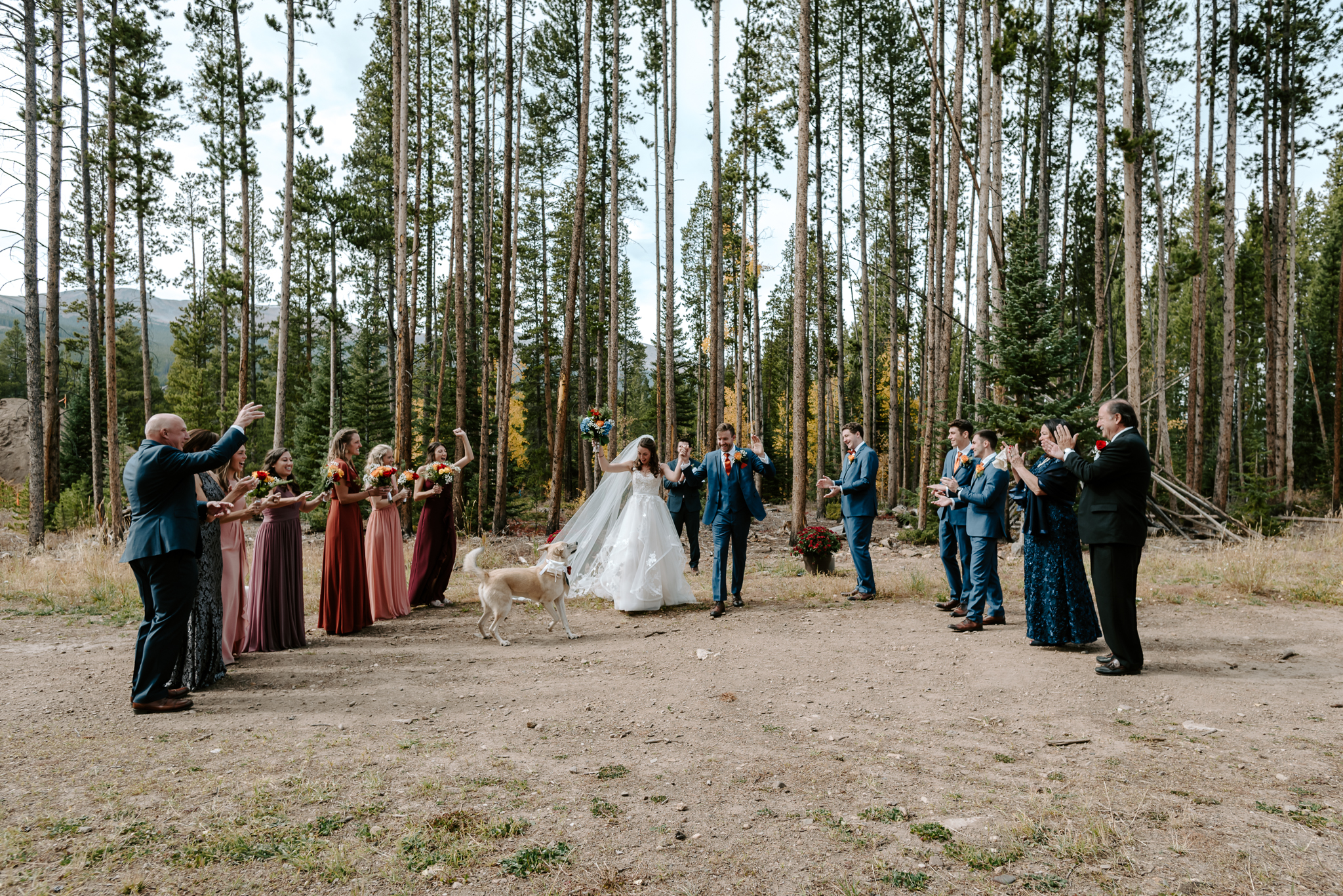 how to plan a microwedding
