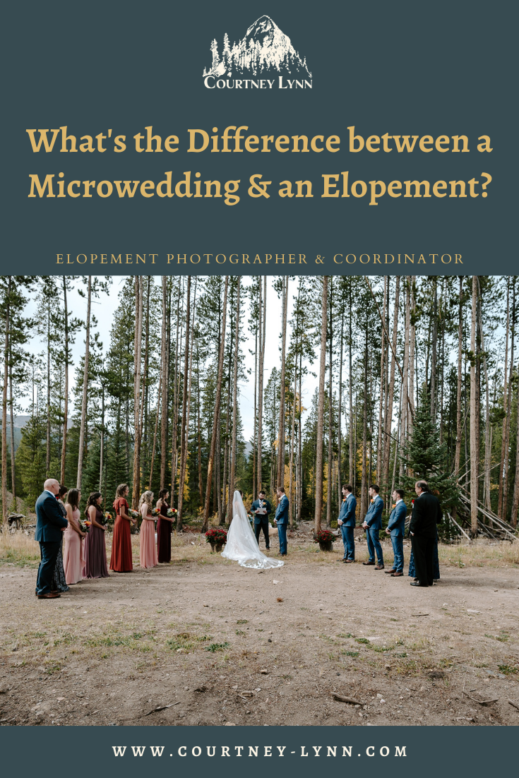 What's the Difference Between a Microwedding and an Elopement? | Courtney Lynn